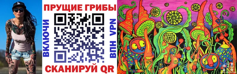 KRAKEN онион  сколько стоит  Щёлково  Псилоцибиновые грибы Psilocybine cubensis 