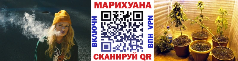 кракен ONION  Щёлково  МАРИХУАНА сатива 